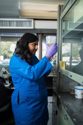 Student in Lab