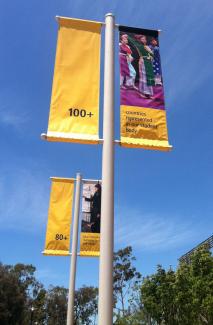 Flags of 100 countries at UCSB